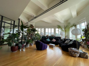 Jungle Loft in Lausanne Centre